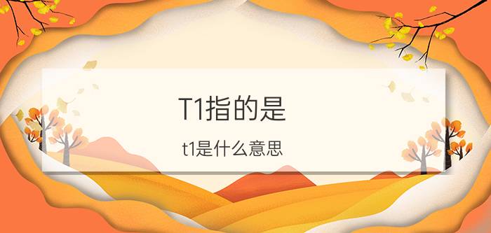 T1指的是（t1是什么意思 t1到底是什么意思）